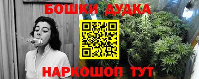 дурь Можга