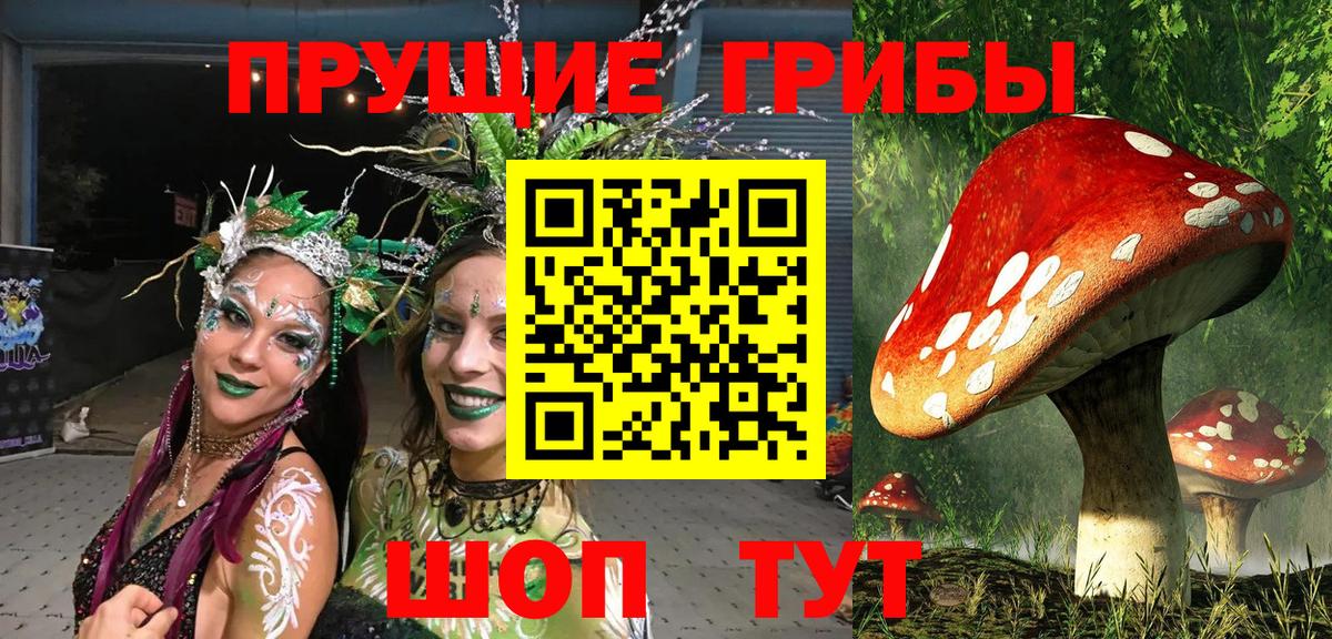 Черногорск  Галлюциногенные грибы Psilocybe  Вход с VPN 