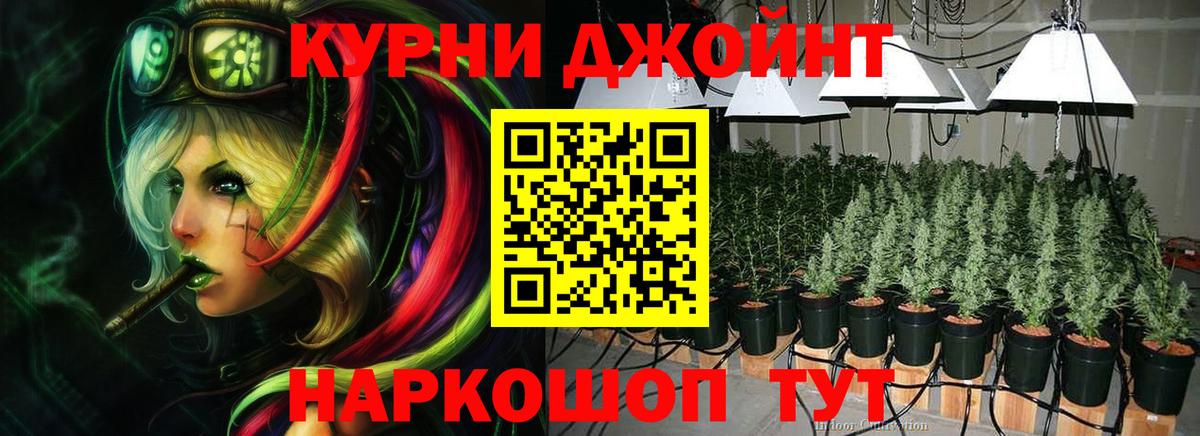 Бошки Шишки тримм  МАРИХУАНА VHQ  Черногорск  Вход с VPN 